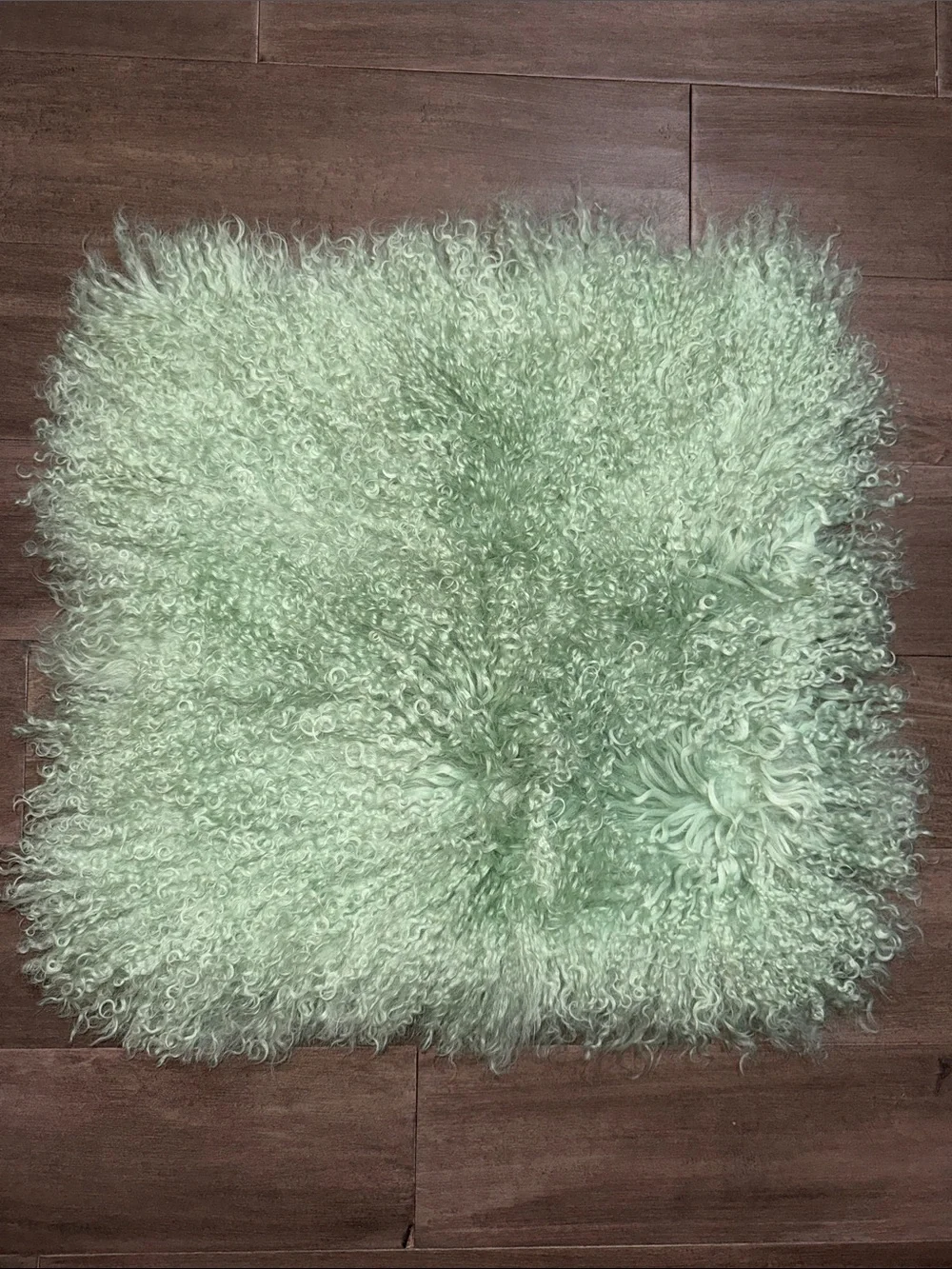 NWT Mint Green Mongolian Lamb Set of 2 16” Pillow Covers